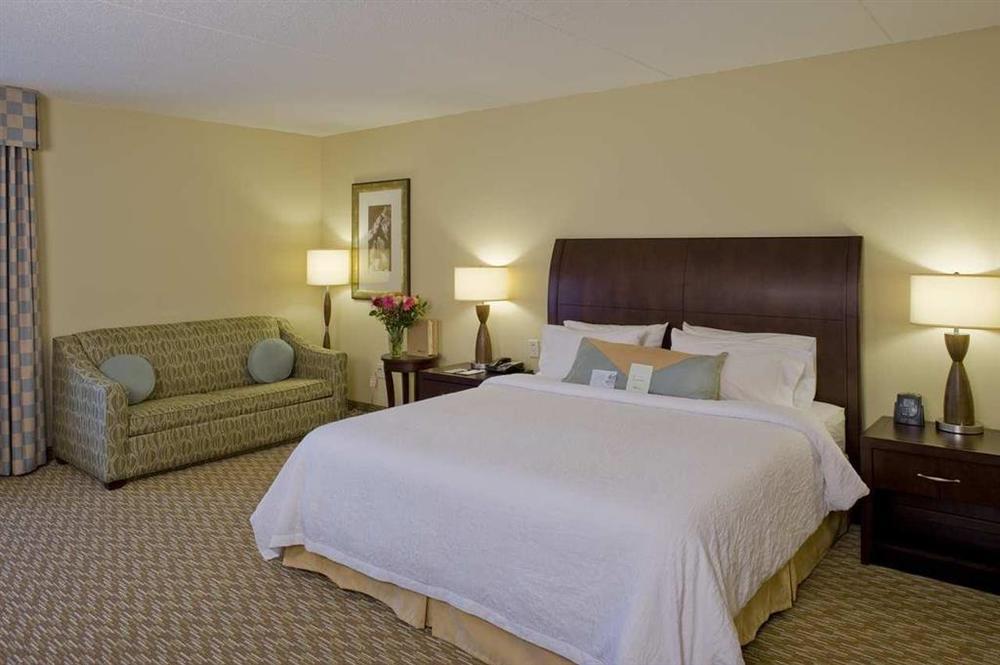Hilton Garden Inn Nashville Smyrna Pokoj fotografie